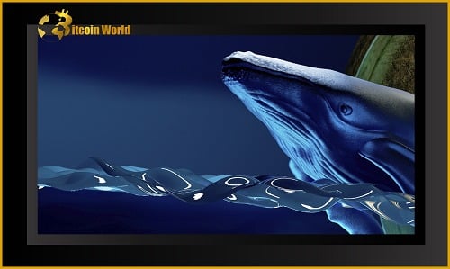 Whales
