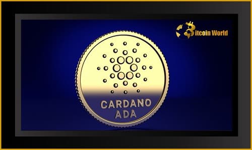 Cardano