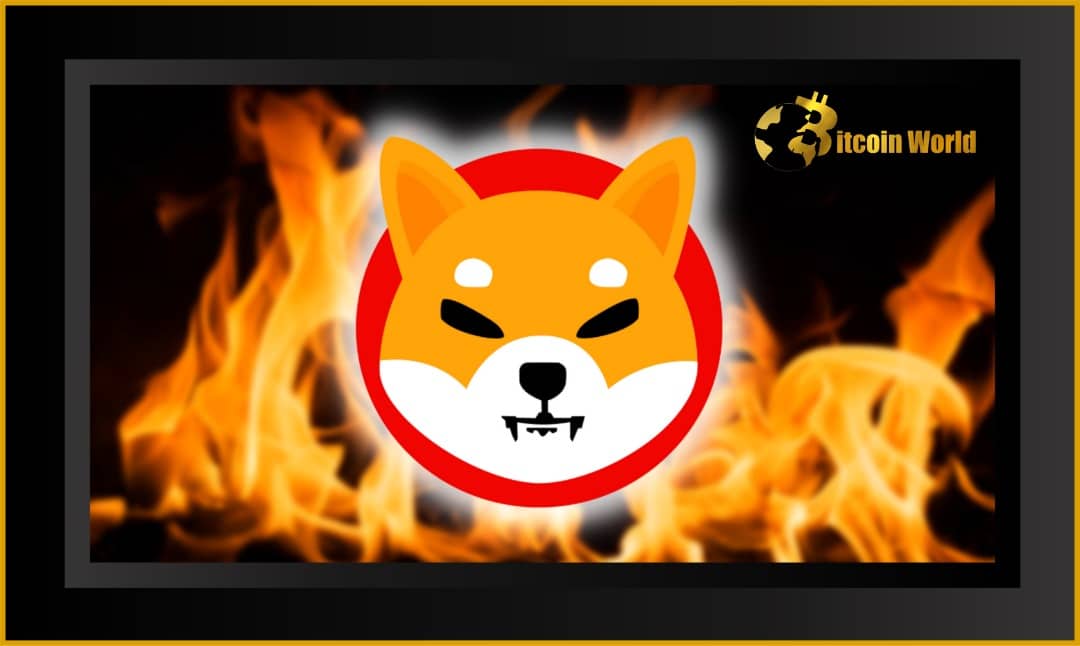 Shib