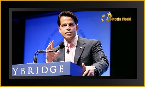 Scaramucci