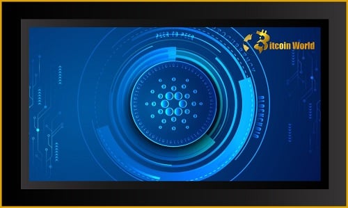 Cardano