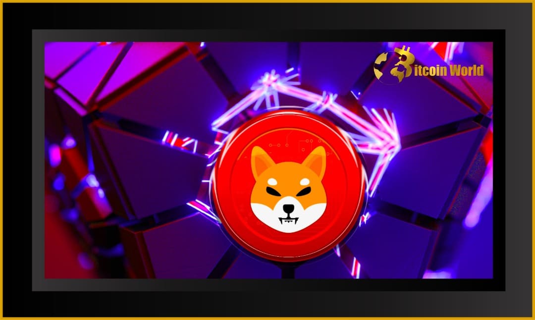 Shiba