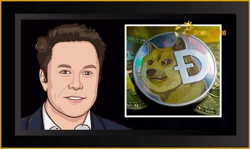 Doge
