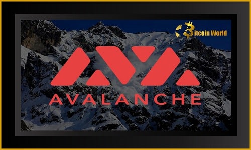Avalanche