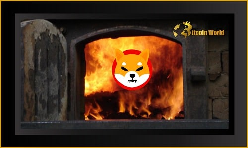 Shib