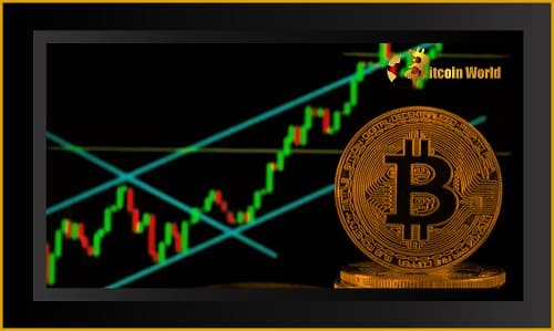 Crypto