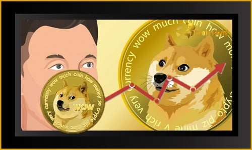 Elon