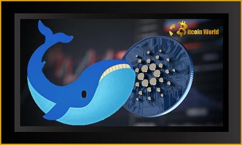 Cardano