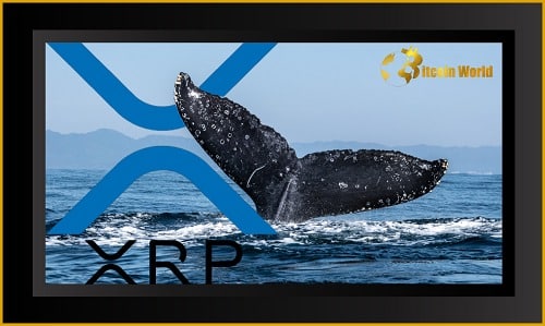 XRP