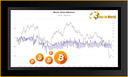 Is This Bitcoin Bear Market Really Different? Unpacking Hashrate, Active Addresses, and Exchange Reserve Dips Bitcoin active address