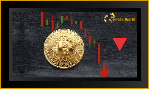 Bitcoin bottom