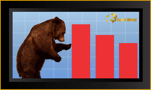 bear mrk