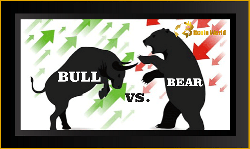 bull vs bear