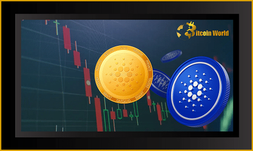 cardano