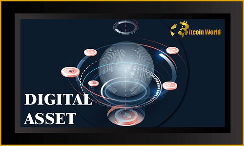 digital asset