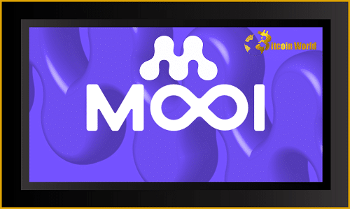 mooi network