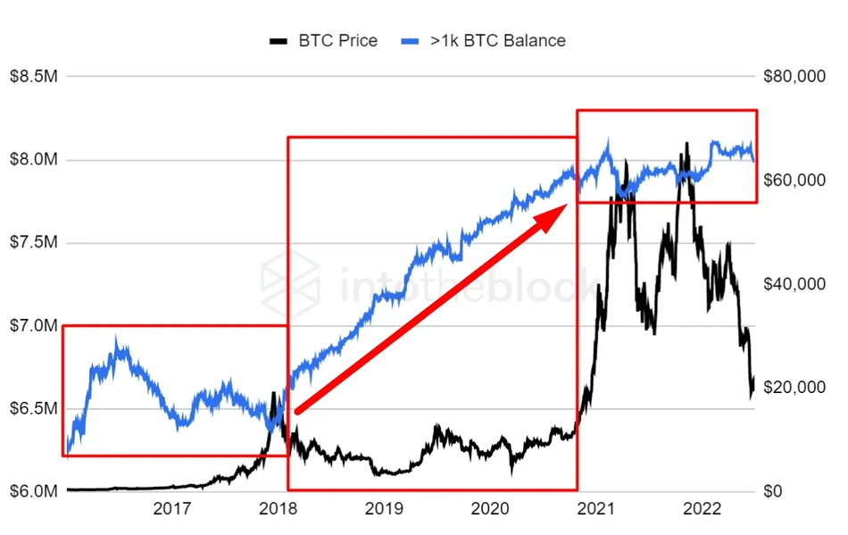 Bitcoin Bear Market Deepens: Are Whales Quietly Accumulating BTC at Rock Bottom Prices? Whales accumulate BTC at various price points.