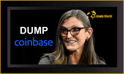 DUMB coin