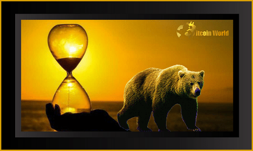 bear mrkt 1