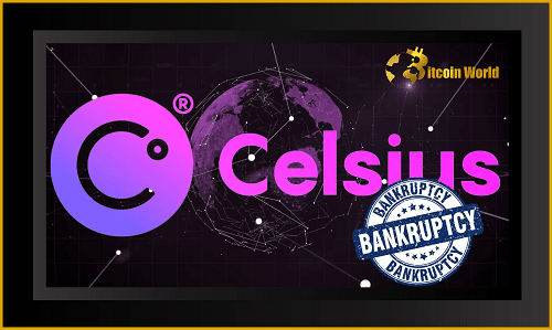 celsius bankr