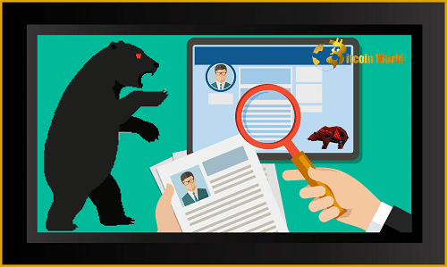 hiring guide bear