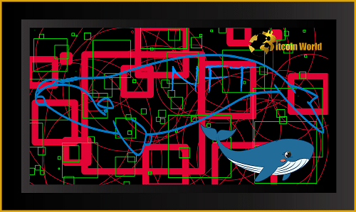 nft whale