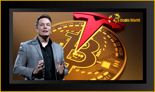 tesla btc
