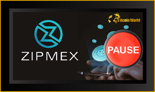 zipmex pause