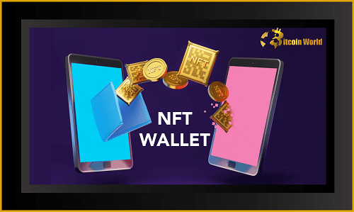 NFT WALLET 1