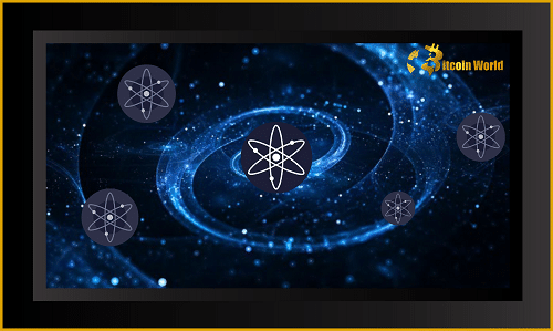 cosmos eco