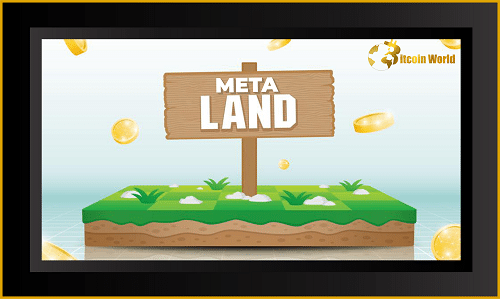 META LAND