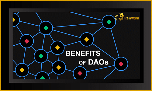 benefits of daos