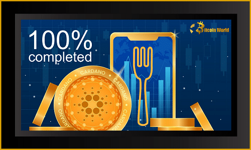 cardano com