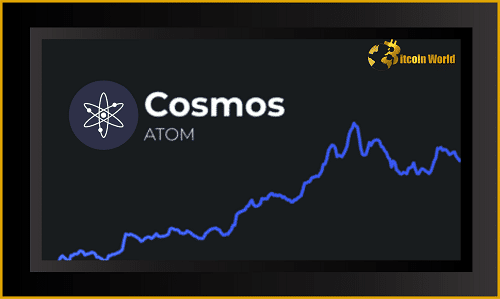 cosmos price