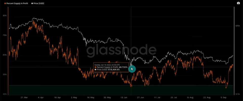 Bitcoin and Ethereum Analysis: Navigating Market Swings with Technical and On-Chain Insights Current Bitcoin Percent Supply in Profit