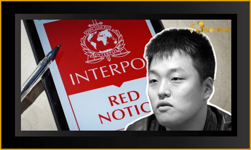interpol terra