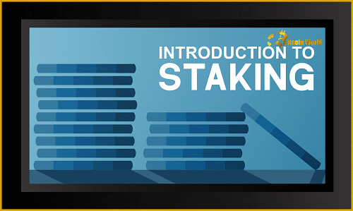 intro staking 1