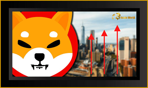 shiba inu