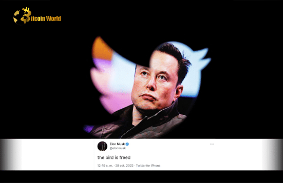 Elon