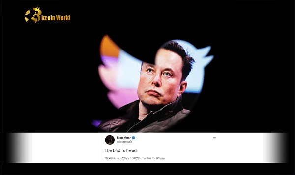 Elon