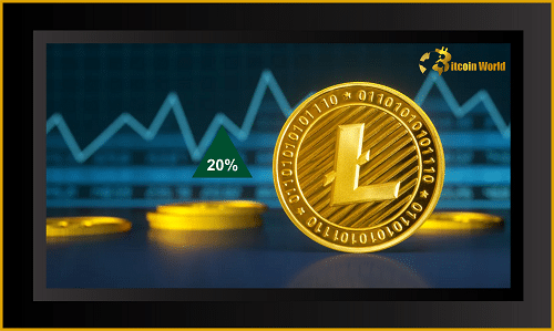 liteco
