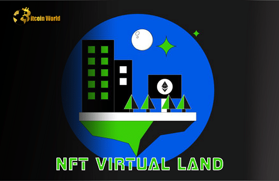 NFT