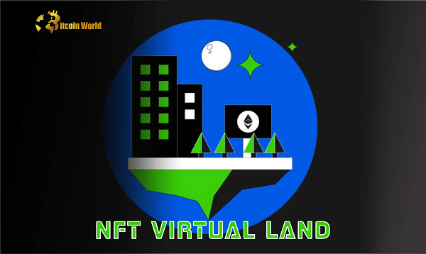 NFT