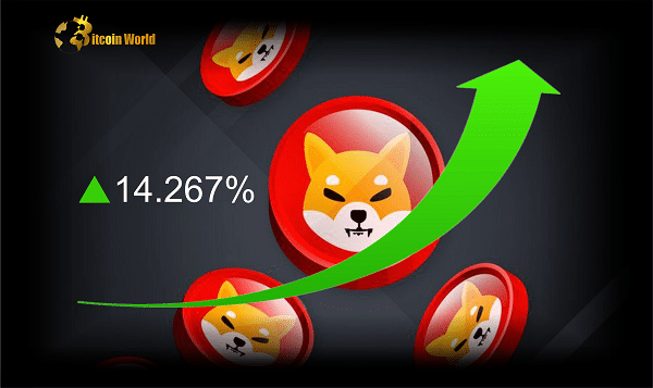 shiba rise