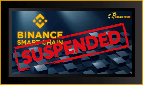 smart chain