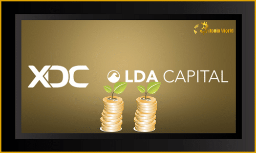 xdc lda