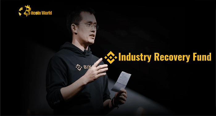 Binance industry recovery fund