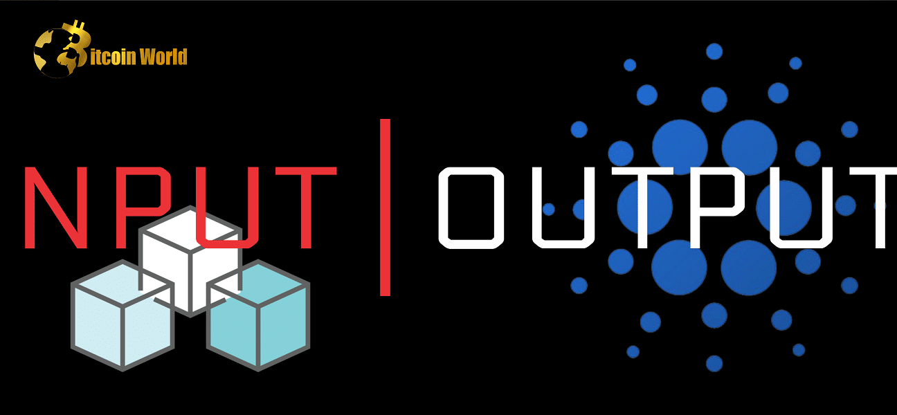 INPUT OUTPUT CARDano