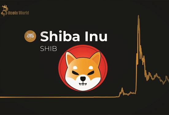 SHIBA SHI
