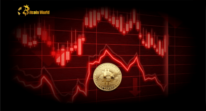 bitoin low